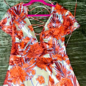 Cute new never worn dress from PLT